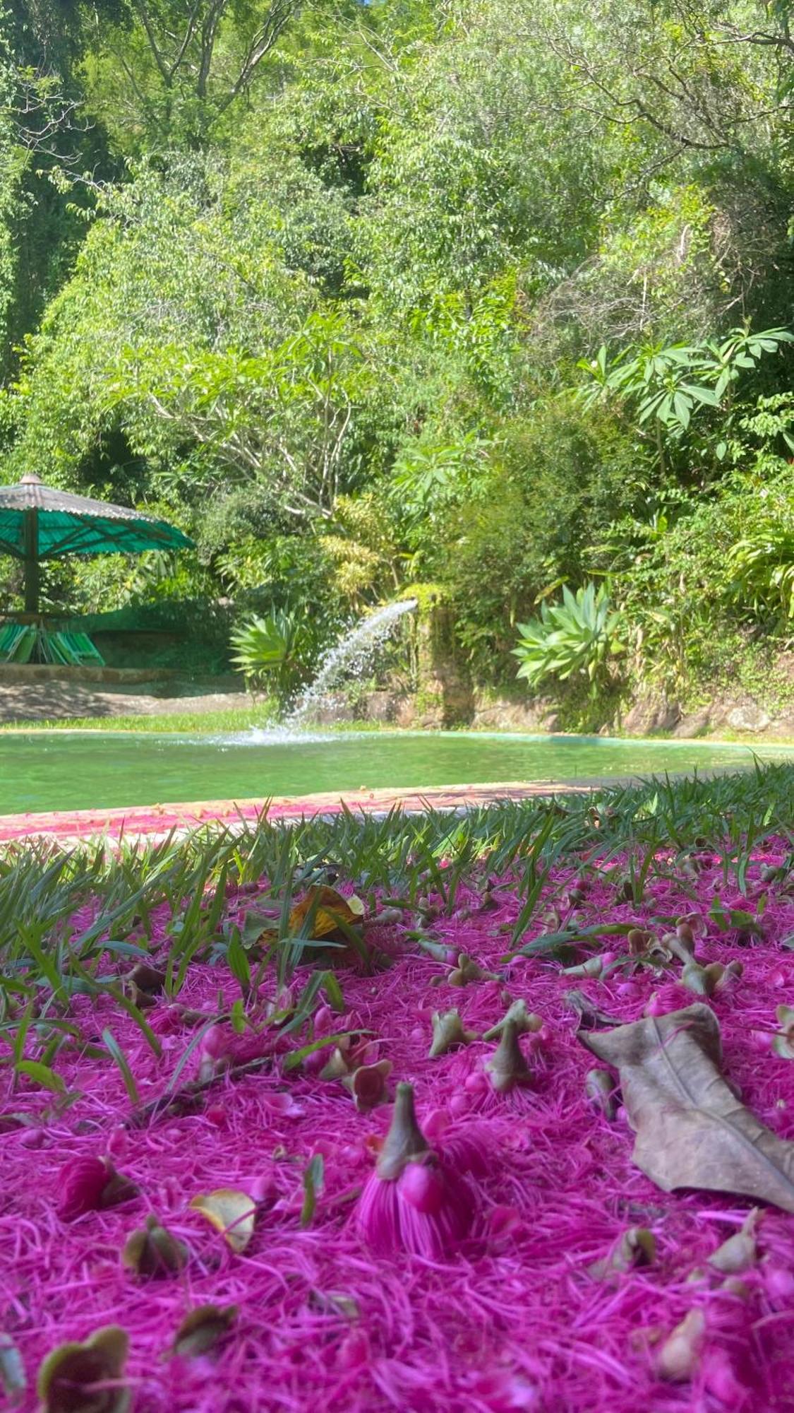 Villa Chale Laranja - Sitio Caldeirao à Posse  Extérieur photo